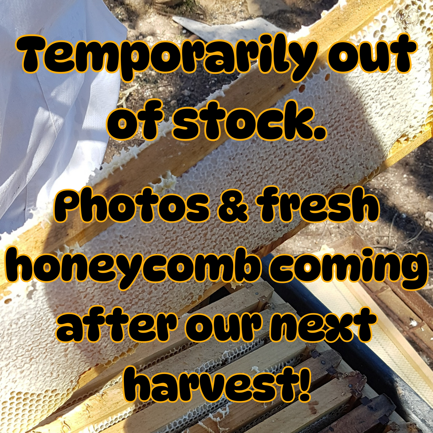 Honeycomb Round